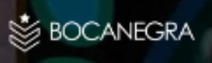 bocanegra